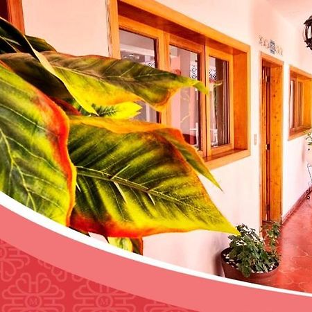 Hotel De Mariacentro San Cristóbal de Las Casas Eksteriør billede